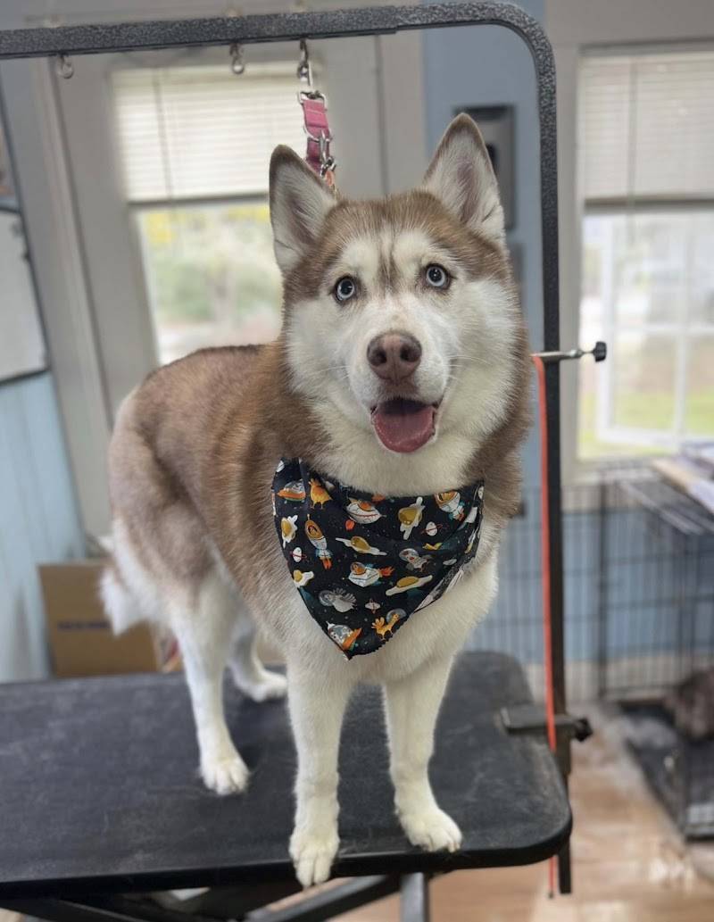 National Petland